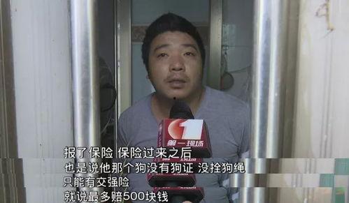 深圳周女士最新爆料,揭秘某事件背后惊人真相  第3张